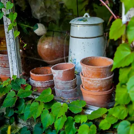 Jardin Et Particulier Bayeux