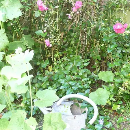 Jardin Et Particulier Frühstückspension *