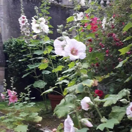 Jardin Et Particulier לינה וארוחת בוקר